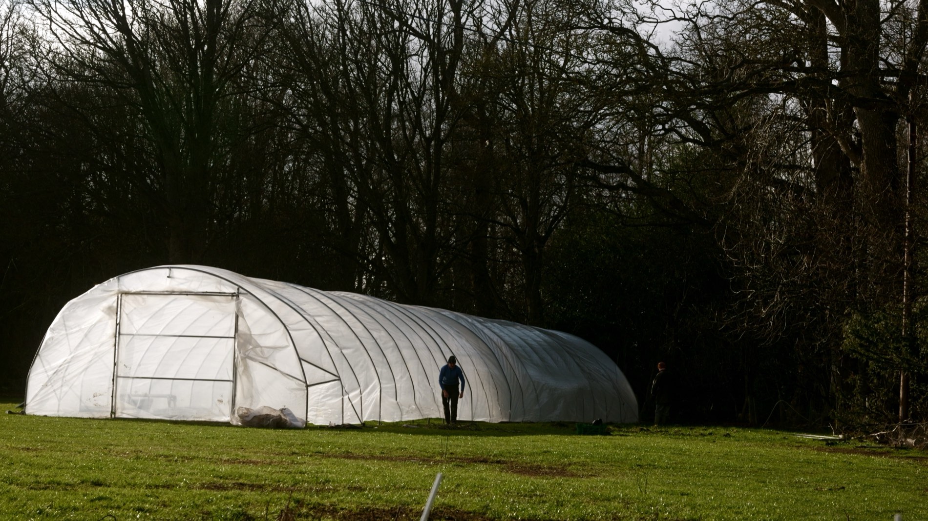The polytunnel at the Cardinal Kitchen Garden, Bramblewood Farm, in winter light